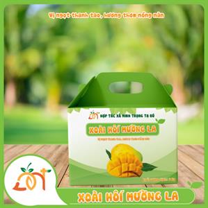 Xoài hôi Mường La hộp 5Kg